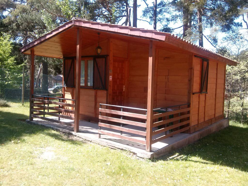 Camping Cobijo ビヌエサ 部屋 写真
