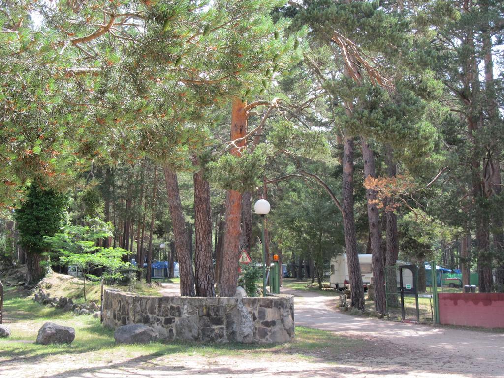 Camping Cobijo ビヌエサ エクステリア 写真